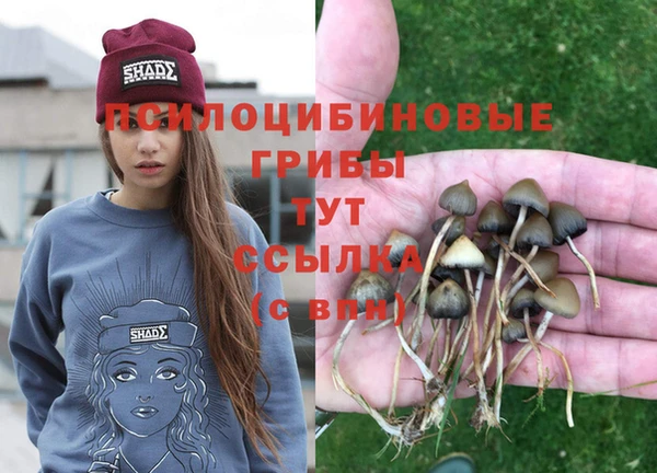 кристаллы Белокуриха