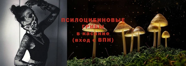 кристаллы Белокуриха