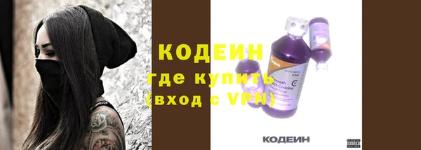 индика Тавда